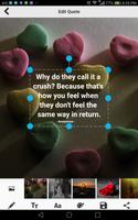 Crush Quotes ภาพหน้าจอ 2