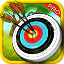 Arrow Master Archer Score 2016 APK