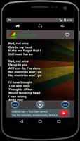 Music Reggae Mp3 + Lyrics capture d'écran 3