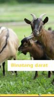 Panduan Muslim ảnh chụp màn hình 3