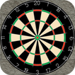 Darts Nite Pro