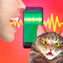 Human to cat translation: Talk with your cat APK