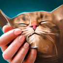 Pat Virtual Cat: Antistress Cat Care APK