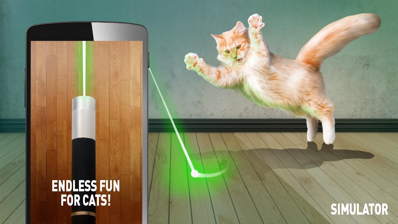 Кошка играет указкой. Лазерная указка для кота. Котик с лазером. Кот играет с лазерной указкой. Игры с лазерной указкой для кошек.