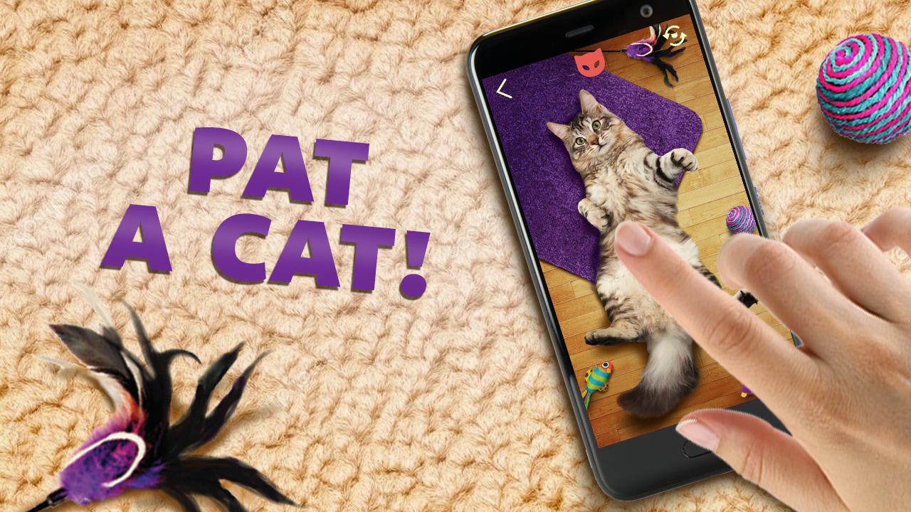 Cats pats. Pat the Cat. Cat Pat экзамены. Virtual Pet ASUS. Cat Pats under the Sun.