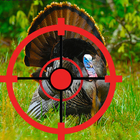 Turkey Hunter icône