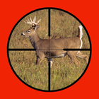 Whitetail Buck Hunter Crossing icône
