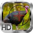 Wild Turkey Hunting Gold Pro