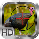 Wild Turkey Hunting Gold Pro-icoon