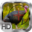 Wild Turkey Hunting Gold Pro APK