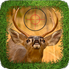 Deer Hunt أيقونة