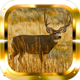 Deer Adventure HD icône