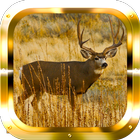 Deer Adventure HD ไอคอน