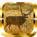 Deer Adventure HD Zeichen