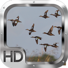 آیکون‌ Duck Hunter Pro