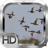 Duck Hunter Pro simgesi