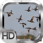 Duck Hunter Pro icône