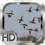 Duck Hunter Pro иконка