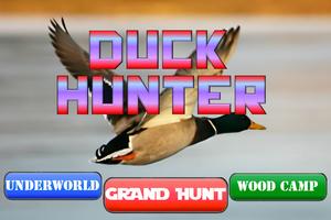 Duck Hunter Pro plakat