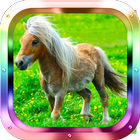 Little Pony Matching icône