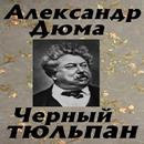 Черный тюльпан APK