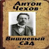 Вишневый сад