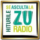 Radio Zu  Romania Live Fara Internet Online APK