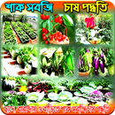 ছাদে, বারান্দায় ও বাড়িতে শাক সবজি চাষ পদ্ধতি APK