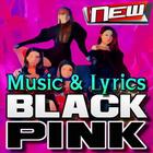 BLACKPINK - DDU-DU DDU-DU Songs আইকন