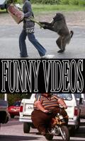 Funny Videos Plakat