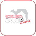 EccellenzaCalcio.it