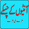 Auntioun Kay Chaskay APK