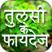 तुलसी के फायदे - घरेलु इलाज Tulsi Ke Fayde