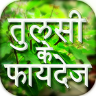 तुलसी के फायदे - घरेलु इलाज Tulsi Ke Fayde icon