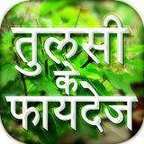 तुलसी के फायदे - घरेलु इलाज Tulsi Ke Fayde icon