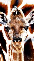Giraffe Animal Lock स्क्रीनशॉट 1