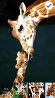 Giraffe Animal Lock स्क्रीनशॉट 2