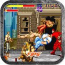 Tips Final Fight Streetwise Guide APK