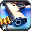 Survive Shooter Fps APK