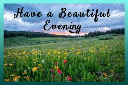 Good Evening Cards For Android Apk Download