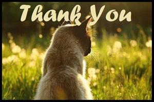 Thank You Cards Free 截图 1