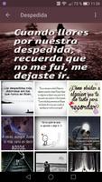 Frases de Despedida de Amor 💔 Adios Amor स्क्रीनशॉट 3