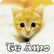 Gatitos con Frases de Amor