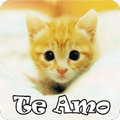 Gatitos con Frases de Amor