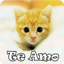 Gatitos con Frases de Amor APK