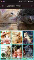 Gatitos con Frases de Amor screenshot 3