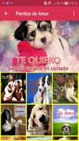 Perritos con Frases de Amor Ekran Görüntüsü 3