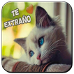 Te Extraño Tanto
