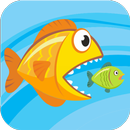 الأسماك الهيجان - يأكل السمك APK