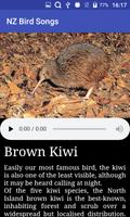 NZ Bird Calls poster